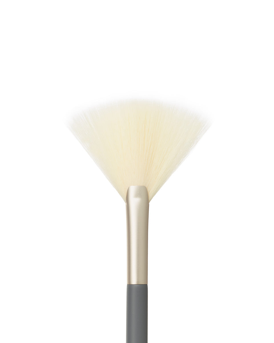 Fan Brush