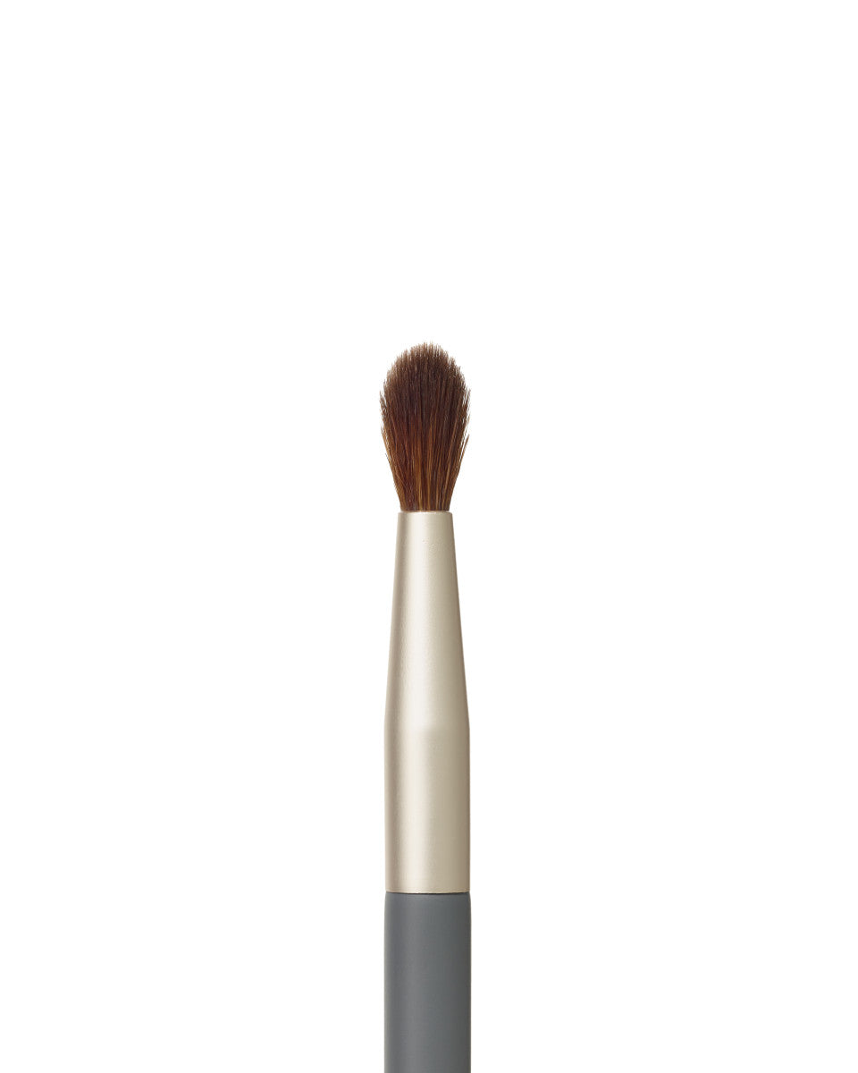 Detail Brush